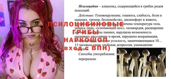 тгк Арсеньев