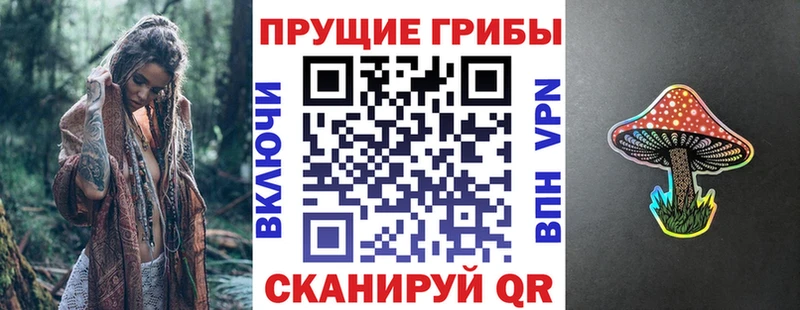 наркошоп Мариинский Посад MEGA зеркало Псилоцибиновые грибы Psilocybe